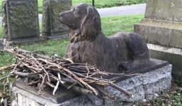 People placed sticks on the grave of a dog that passed away 100 years ago