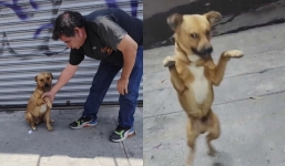 The heartwarming reaction of a stray dog to a shopkeeper's kindness