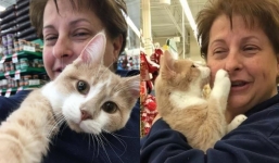 The happy cat can't stop kissing the woman who saved him