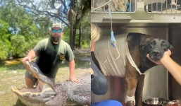 Florida man's dramatic battle with alligator to protect his furry companion