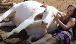 Rescued animals find solace in woman's arms when she sings to them