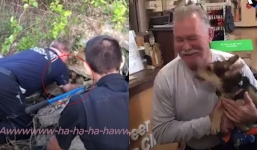 Heartwarming firefighter reunited with the adorable puppy he rescued