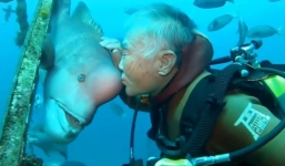 Man saves fish's life and they become best friends for vearly 30 years