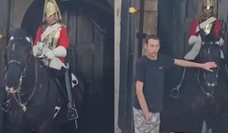King's Guard breaks royal protocol and allows young man to pet his horse