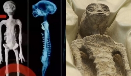 'Alien bodies' presented in Mexico are probably fake, according to scientist