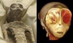 'X-ray scans' of two 'alien bodies' released during the public hearing