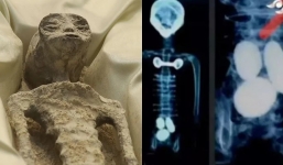 Disturbing 'truth' behind 'alien bodies' released after x-rayed