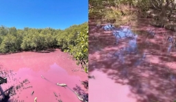 Locals are stunned as swamp suddenly mysteriously turns pink
