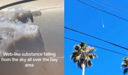 Spider webs are seen falling from the sky and floating in the air