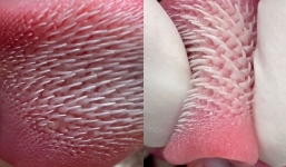 People were stunned after seeing close-up of the cat's tongue