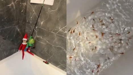 Mother criticized for decorating 'Elf on the Shelf' in the bathroom with real fishes