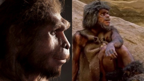 Experts reveal surprising reason led to the near extinction of humans 800,000 years ago