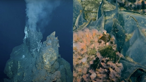 Scientists discovered active prehistoric volcano covered in huge eggs, spouting warm water to raise marine creatures