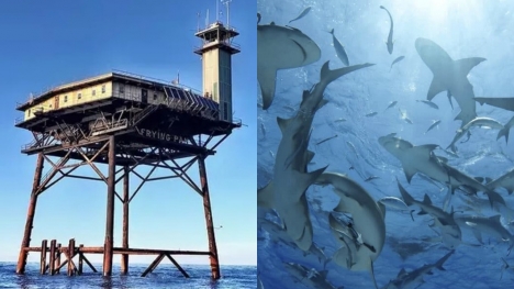 World's most terrifying hotel surrounded by sharks, accessible only by helicopter