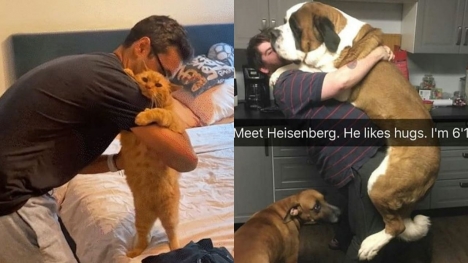 15+ moments of animals cuddling humans will melt your heart
