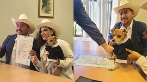 Little dog becomes witness to stamp parents' marriage certificate