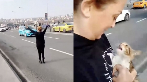 Woman rushes into middle of road to save kitten stuck on highway