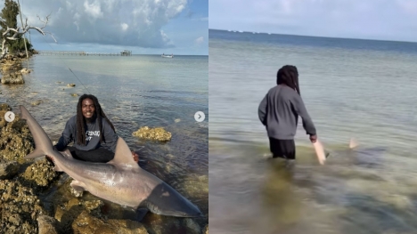 Man left viewers stunned after picking up live shark with his bare hands