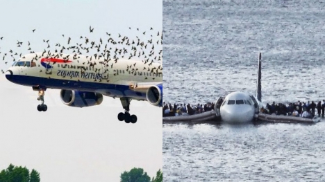 Man reveals reason why flock of birds attack plane that forced him to land in the water