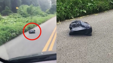 Woman rescued 'mysterious' creature trapped in garbage bag on her way to work