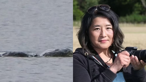 Photographer sparks debate after revealing captivating pictures of 'Loch Ness Monster' 