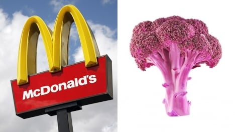 Why McDonald's bubble gum-flavored broccoli has never been sold?