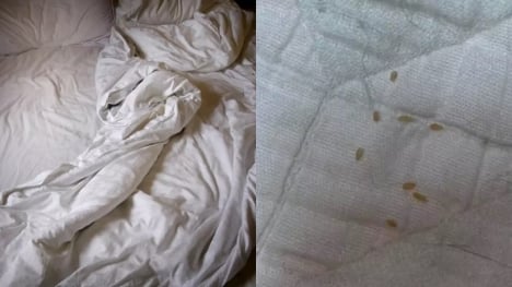 Woman baffled after discovering what ‘sesame seed size things’ appeared on her bed actually are