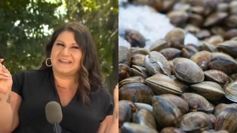 Mom fined $88K as kids mistakenly collected 72 clams after mistaking them for seashells