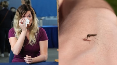 Woman breaks down in tears as her ancient item is valued after getting rid of mosquito inside