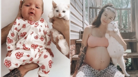 A pregnant woman who had rescued a stray cat discovered they were both expecting babies