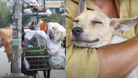 This poverty-stricken couple who work as scrap collectors are giving stray dogs shelter