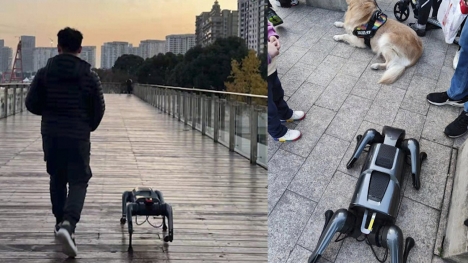 Do robot dogs in China bring a sense of companionship and connection to humans like real dogs?