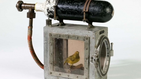  The device that revived canaries in coal mines warned of the peril