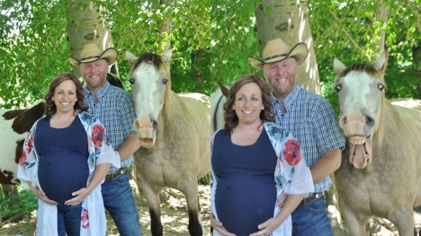Laughing horse takes the spotlight owner's maternity photoshoot