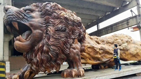 Marvel at the world's largest majestic wooden lion carved from a 15-meter tree