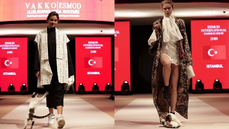 The cat breaks into a fashion show and try to fight with model