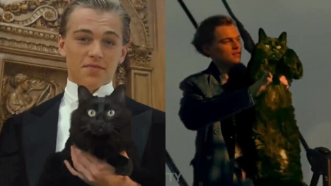 The classic movie 'Titanic' will be more fun if the heroine is replaced by Owl Kitty