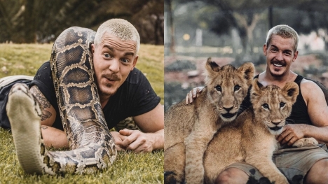 Man quits high-paying job to go to Africa to live, play with wildlife