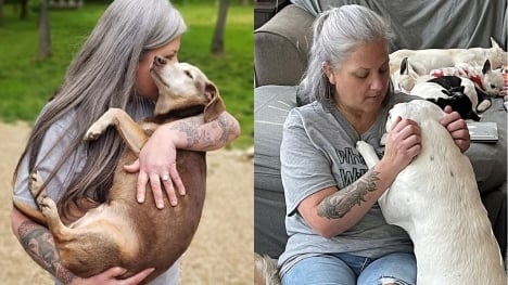 Woman opens hospice to care for 80 homeless dogs