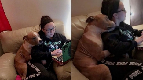 Grateful adopted dog can't stop hugging new owner from the shelter