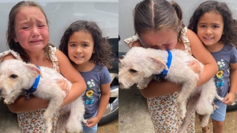 Little girl can't hold back tears of joy when her lost dog is finally found