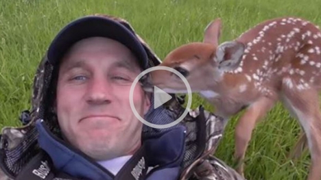 Touching the attached baby deer refuses to go away from the man who saved her life!