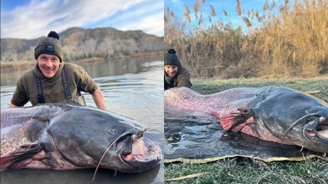 British angler accidentally catch giant catfish 'Sea Monster' weighing Over 222lbs