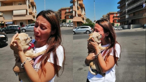 A miracle reunion: woman embraces beloved dog after 9 years of separation
