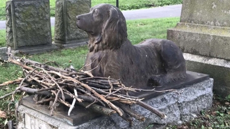 People placed sticks on the grave of a dog that passed away 100 years ago