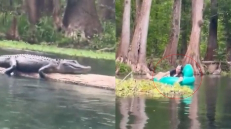 Women's day out in Florida turns scary after encounter with alligator