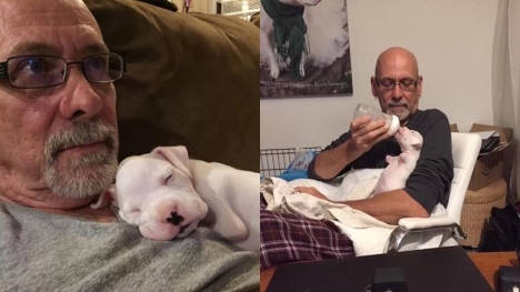 Two-legged dog captivates millions as he is cuddled in his dad's arms