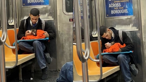 Heartwarming photos of man caring for tiny kitten on subway go viral