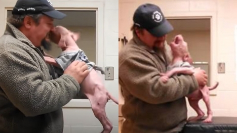 Man returns to adopt the dog he rescued, filling the pup's heart with happiness
