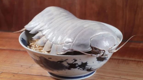 Taiwanese restaurant introduces giant isopod ramen to daring diners